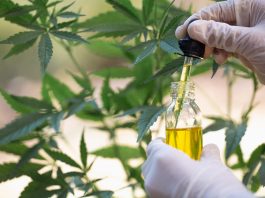 Cannabis Oil - zkušenosti - dávkování - složení - jak to funguje?