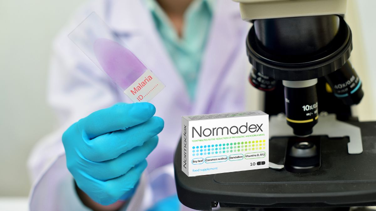 Normadex - kde koupit - Heureka - v lékárně - Dr Max - zda webu výrobce